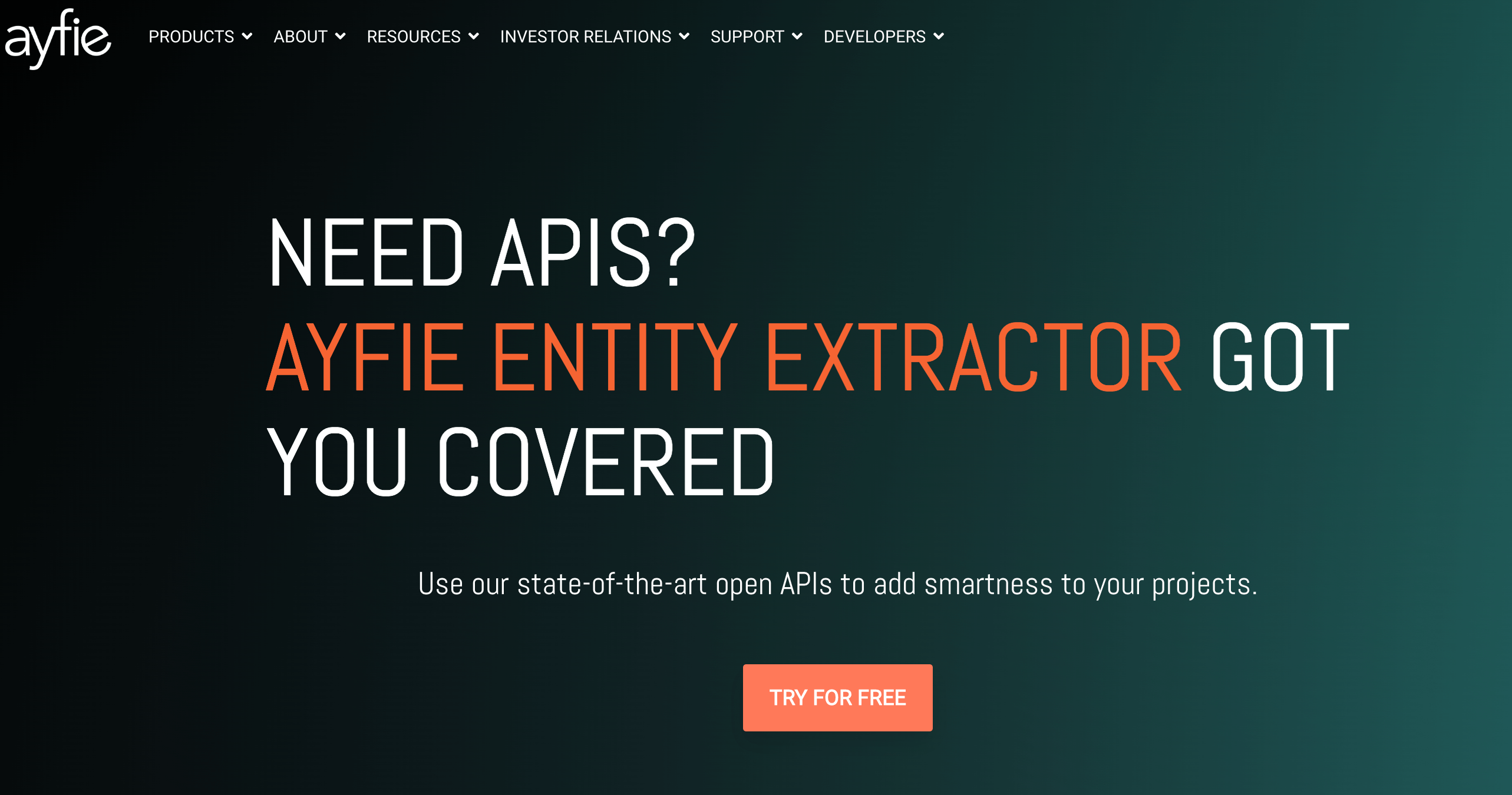 Ayfie API Services home page