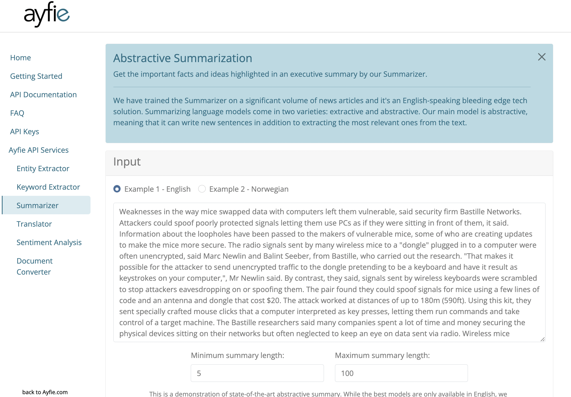 Summarizer API Screenshot