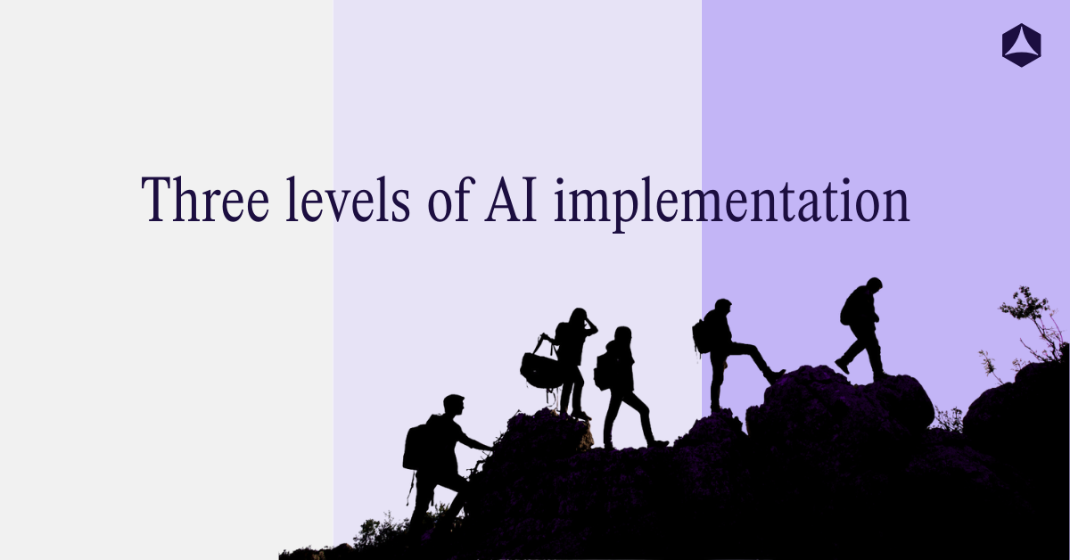 Levels of AI implementation