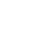 icons8-manage-150