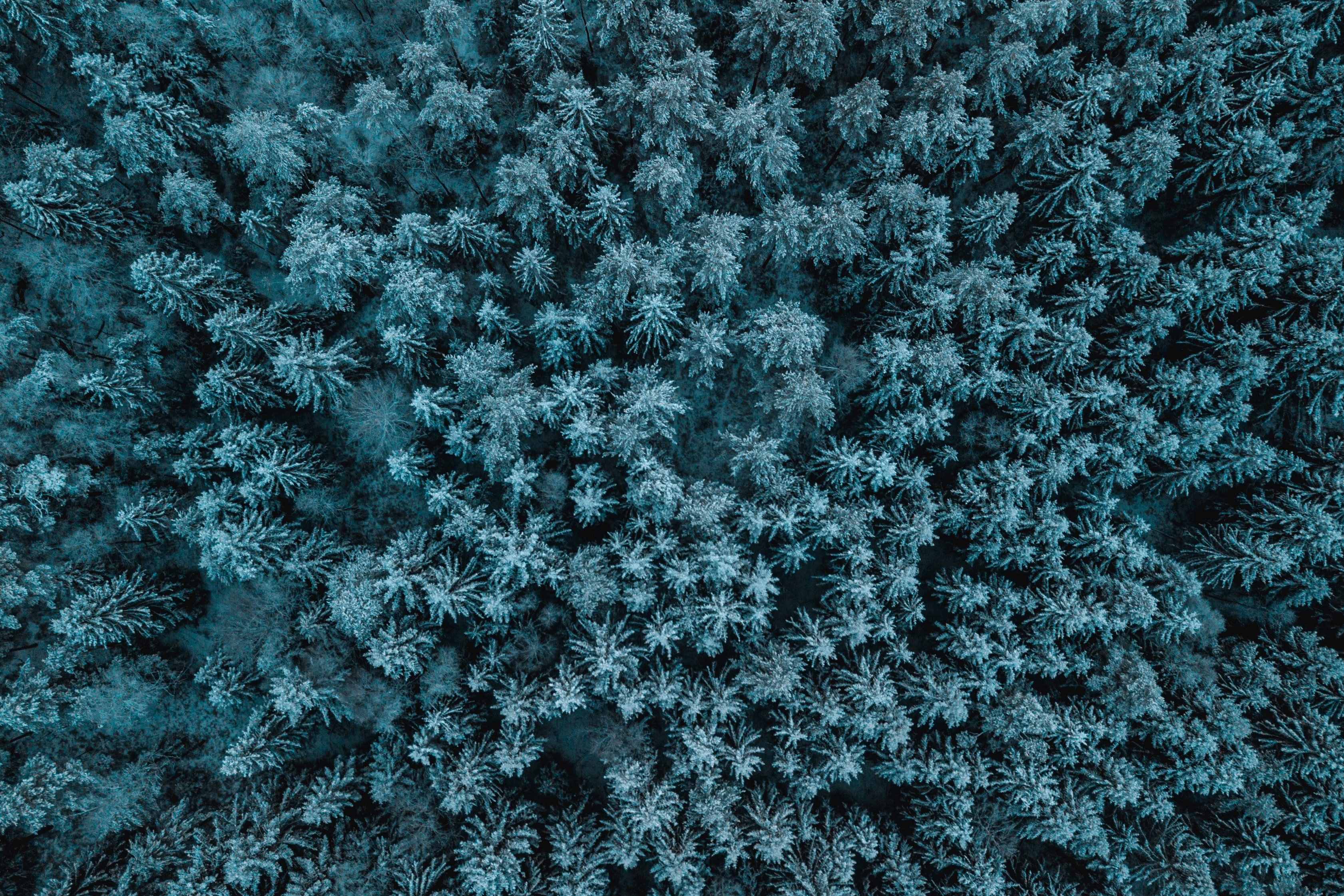 thomas-bjornstad-BXHqHSAojss-unsplash
